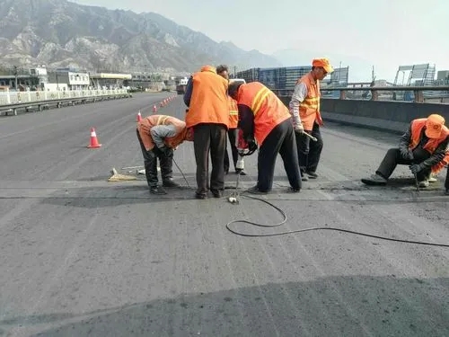 泰顺道路桥梁病害治理